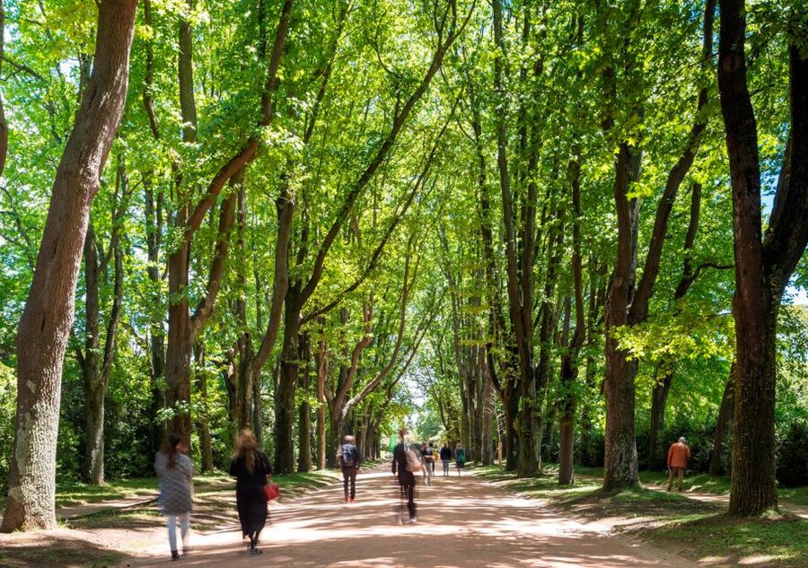 Porto: Serralves Park Entry Ticket - Timing a 1-day visit: how to get value without rushing