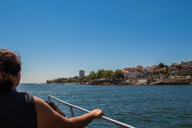 Porto Six Bridges Panoramic Cruise on the Douro River - Why This One-Hour Six Bridges Cruise Works So Well