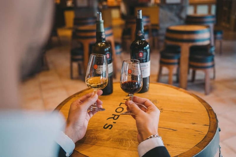 Porto: Taylor’s Port Cellar Tour & WOW Wine Experience - WOW Cultural District, Vila Nova de Gaia: your easy starting line for Port day