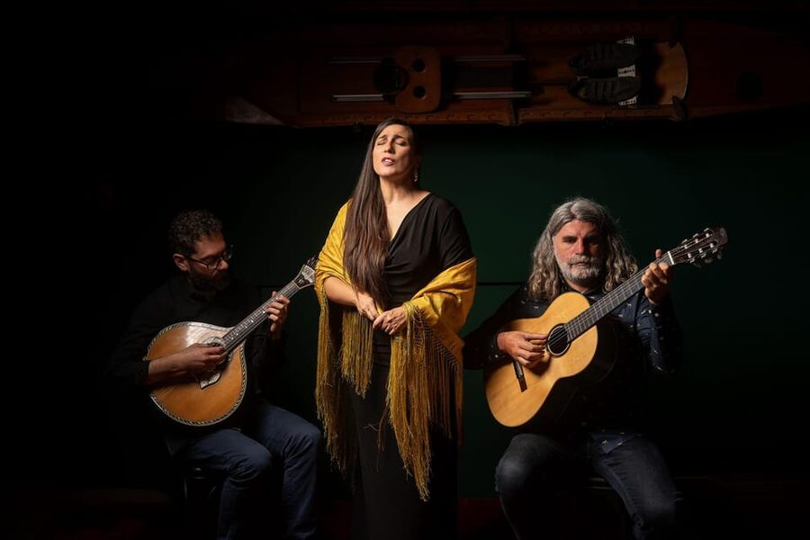 Porto: The Authentic Fado Concert with Port Wine - Who This Experience Fits Best (and Who Might Skip)