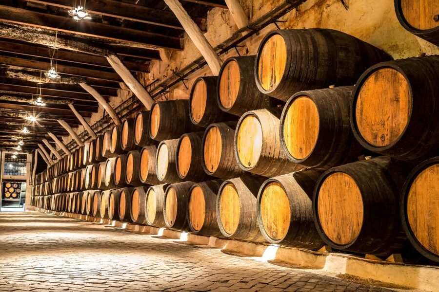 Porto: Tuk-Tuk Tour, Douro River Cruise, and Wine Tasting - The optional walking tour that follows (start the next day)