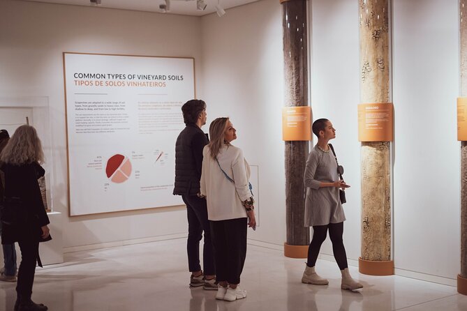 Porto: Wine Experience Museum with 3 Wine Tastings - Self-guided audio in English, with room to breathe