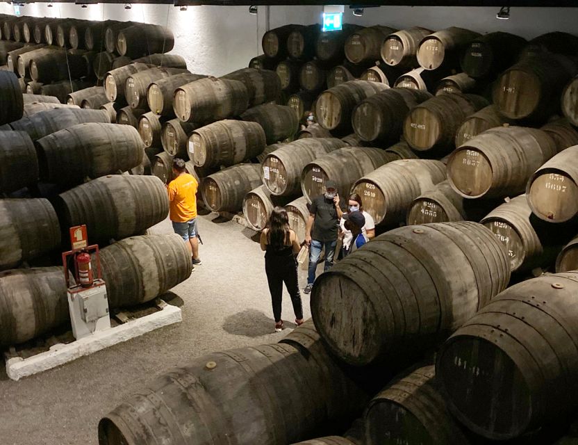 Porto: Wine Tasting with Tapas Walking Tour - Guides set the tone, from Carlos to Rita to Daniella