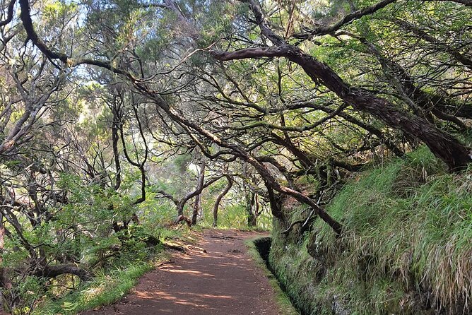 PR6 & PR6.1 25 Fontes & Risco Levada Self-Guided Hiking Rabaçal - Key points