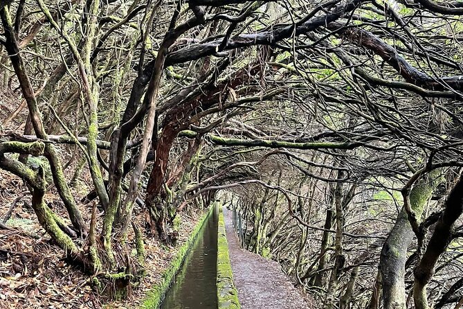 PR6 & PR6.1 25 Fontes & Risco Levada Self-Guided Hiking Rabaçal - Entering Madeira’s best-known levadas, PR6 and PR6.1