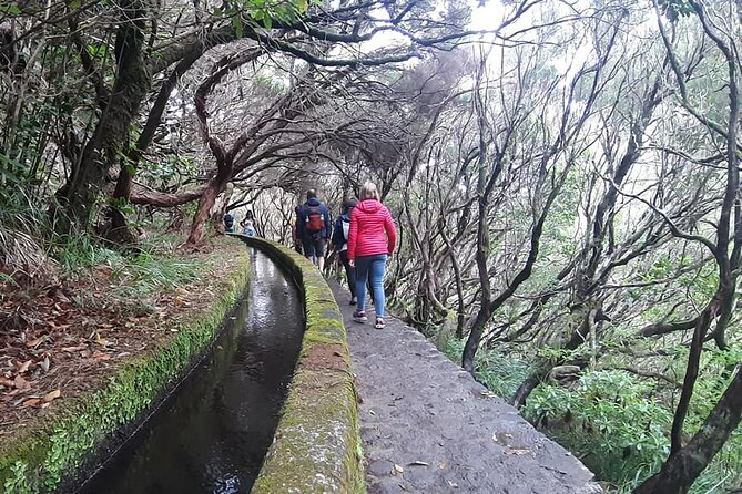 PR6 & PR6.1 25 Fontes & Risco Levada Self-Guided Hiking Rabaçal - Timing and crowds: why the early slot matters on 25 Fontes