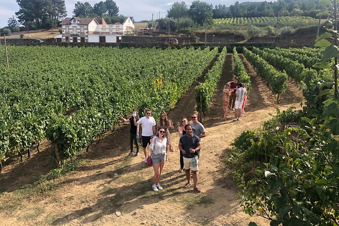 Premium Douro Valley Small-Group Tour, Wine Tasting, Lunch & Boat - Entering The Douro From Porto, Without Wasting a Day