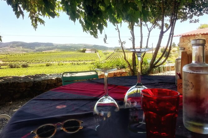 Premium Douro Valley Small-Group Tour, Wine Tasting, Lunch & Boat - What You Really Get for $181.39 Per Person