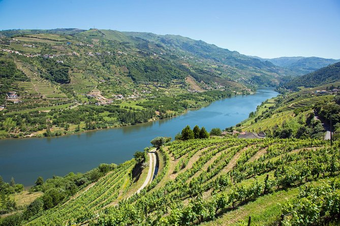 Premium Douro Valley Small-Group Tour, Wine Tasting, Lunch & Boat - Stop 3: Casa dos Barros Lunch With Panoramic Vineyards