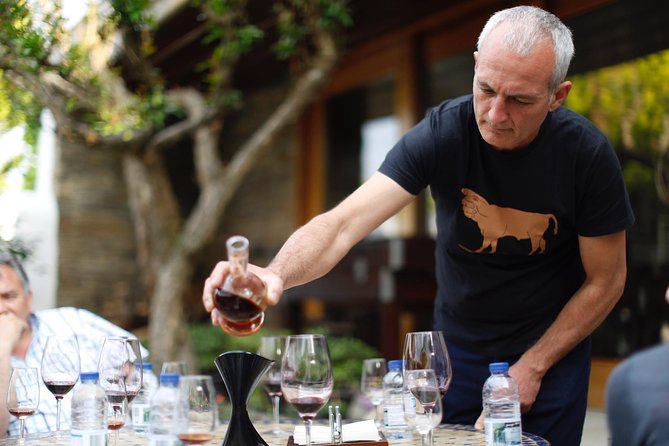 Premium Private Douro Tour: 3 Wineries with Tastings & Lunch - From Porto to the Alto Douro: what the 10-hour schedule feels like