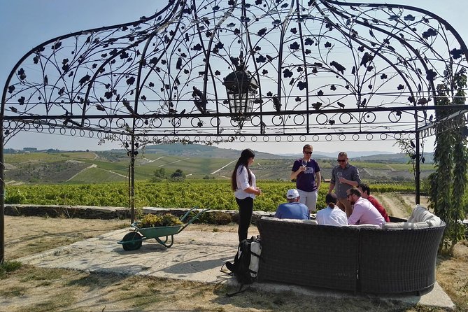 Premium Private Douro Tour: 3 Wineries with Tastings & Lunch - Pinhão area, viewpoints, and the famous tile station pass