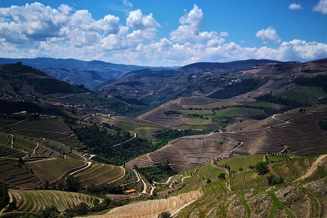 Premium Private Douro Tour: 3 Wineries with Tastings & Lunch - Quinta de Tourais: DOC Douro and Port production in one tasting arc