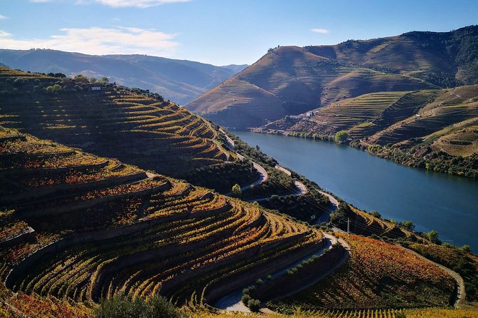 Premium Private Douro Tour: 3 Wineries with Tastings & Lunch - Guides and the private-party feel: how the day stays personal