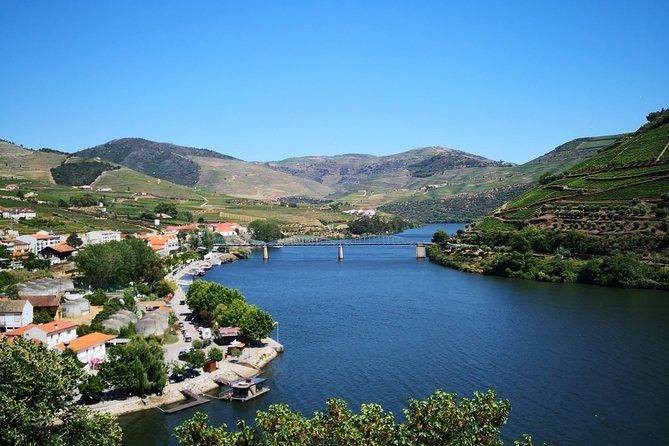 Premium Private Douro Tour: 3 Wineries with Tastings & Lunch - The quick checklist: what to bring and how to time your energy