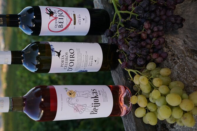 PREMIUM TASTING and TAPAS with GUIDED TOUR - A few smart considerations before you book