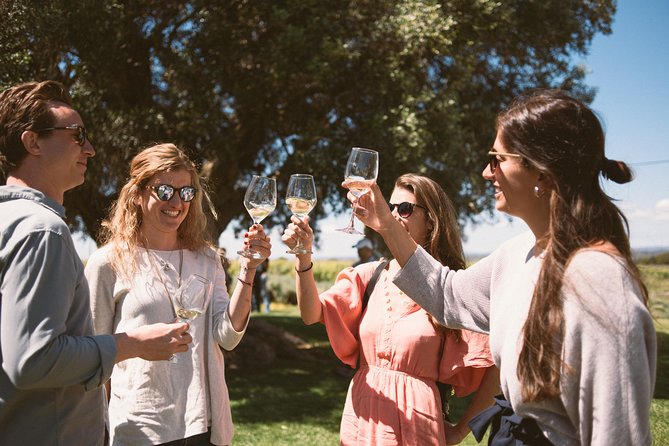 Premium Vineyard Tour & Tasting - Key things I’d circle before you go