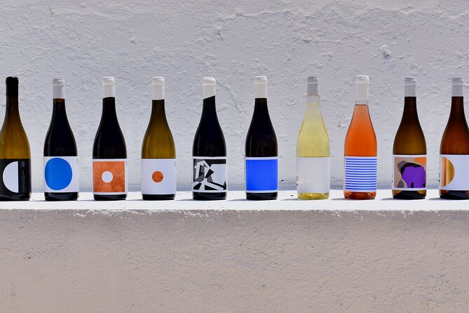 Premium Vineyard Tour & Tasting - Morgado do Quintão: a premium tasting that feels personal