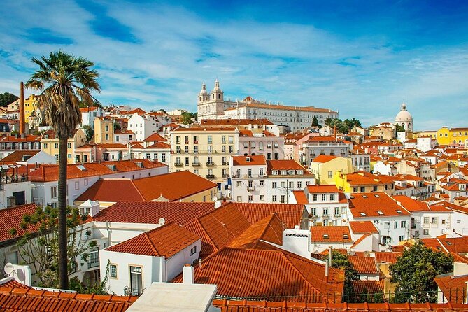 Private 4-Hour Lisbon City Highlights Tour by Tuktuk - Price and logistics: is $180+ per person worth it?
