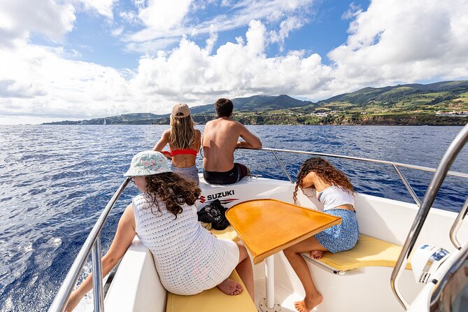Private boat tour of the islets in Vila Franca do Campo - Who this private islet tour suits best
