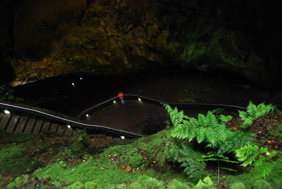 Private Caves tour with a Geologist - Key highlights you can plan around