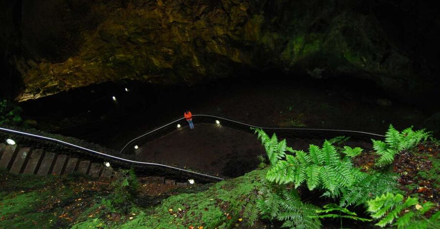 Private Caves tour with a Geologist - Furnas do Enxofre: steam vents that explain geothermal energy fast