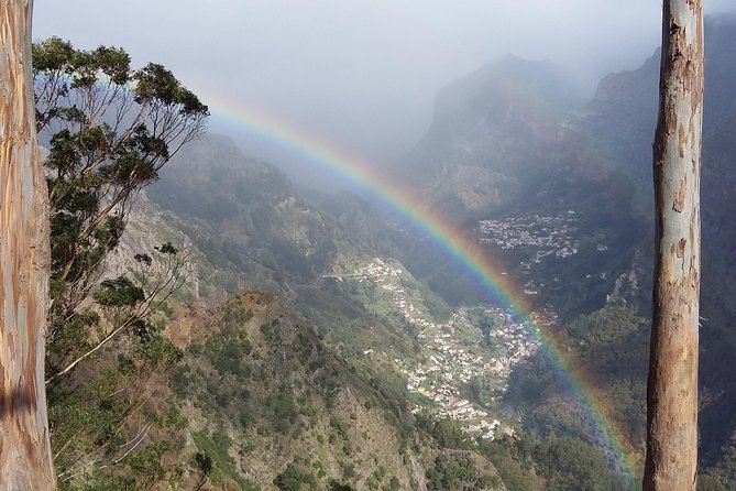 Private & Customizable Safari 4x4 Half-Day Shore Excursion - Pickup in Funchal and Caniço, Plus How Cruise Timing Works