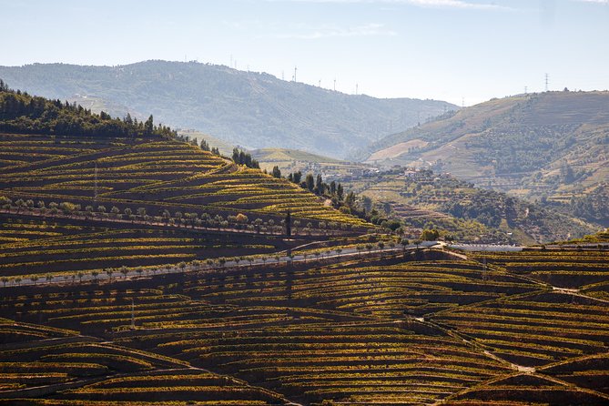 Private Douro 4x4 Adventure from Porto with Deluxe Pic nic - The 4x4 ride: thrill, views, and the real road picture