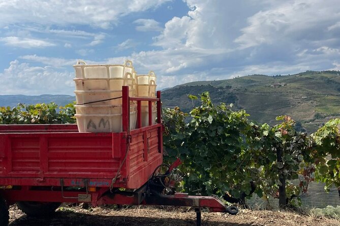Private Douro 4x4 Adventure from Porto with Deluxe Pic nic - Timing that feels realistic, plus how to prepare