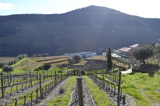 Private Douro 4x4 Adventure from Porto with Deluxe Pic nic - Who this private Douro 4x4 suits best