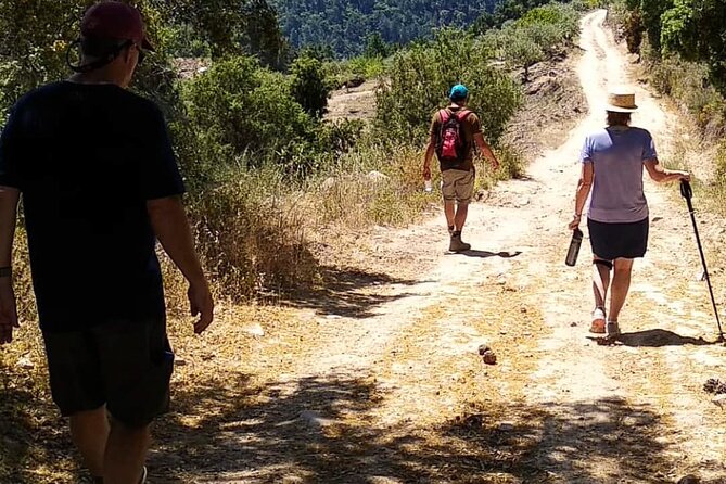 Private Douro and Porto 4x4 Tour with Wine Tasting and Boat Trip - Lunch and wine tasting: how to get the most from the included food