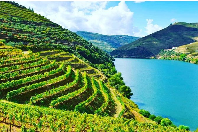 Private Douro Valley Food and Wine Tour From Porto - Private Porto Pickup and the Douro River Schedule