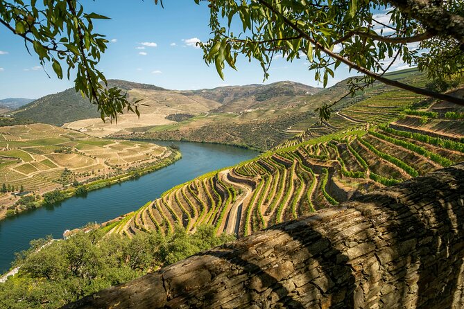 Private Douro Valley Tour: Boutique Winery & River Cruise - Key Highlights That Matter
