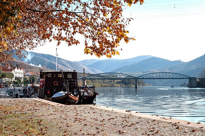 Private Douro Valley Tour: Boutique Winery & River Cruise - Why This Douro Day Feels Effortless (Even When It Isn’t)