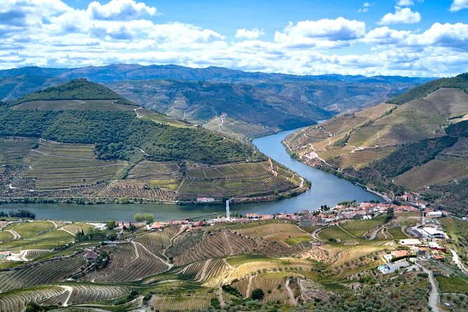 Private Douro Valley Tour: Boutique Winery & River Cruise - Quinta do Cume: Boutique Tasting With Real Production Details