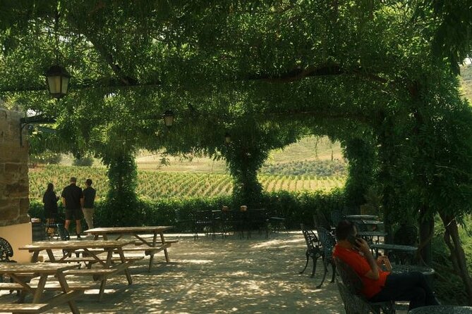 Private Douro Valley Tour with Lunch & Wines - Wine focus: how the day fits both dry Douro and Port