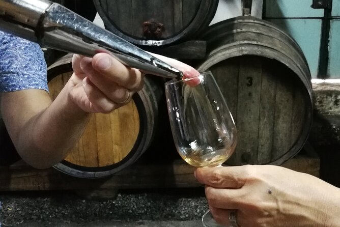Private Douro Valley Wine Tour - Why This Private Douro Day Feels More Personal Than a Bus Tour