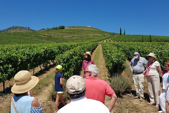 Private Douro Valley Wine Tour: 2 Wine Estates, Lunch and Cruise - Key things you should know before you go
