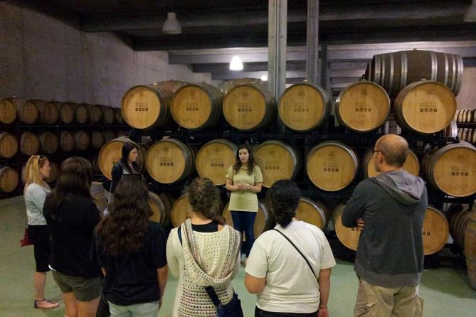 Private Douro Valley Wine Tour: 2 Wine Estates, Lunch and Cruise - Entering the Douro Valley without the planning headache