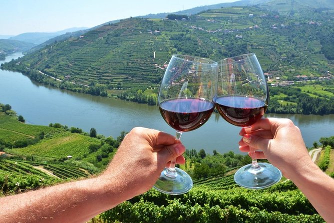 Private Douro Valley Wine Tour: 2 Wine Estates, Lunch and Cruise - Pinhão Rebelo boat cruise: 45 to 50 minutes of river time