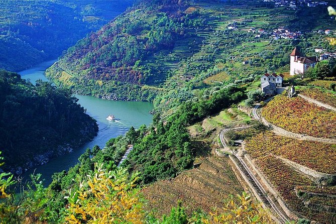 Private Douro Valley Wine Tour: 2 Wine Estates, Lunch and Cruise - The second winery: another tasting, and why two estates are worth it