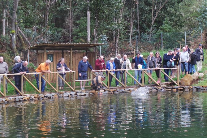 Private Full Day 4X4 Experience: East or West - The included extras that make a private day feel safe and easier