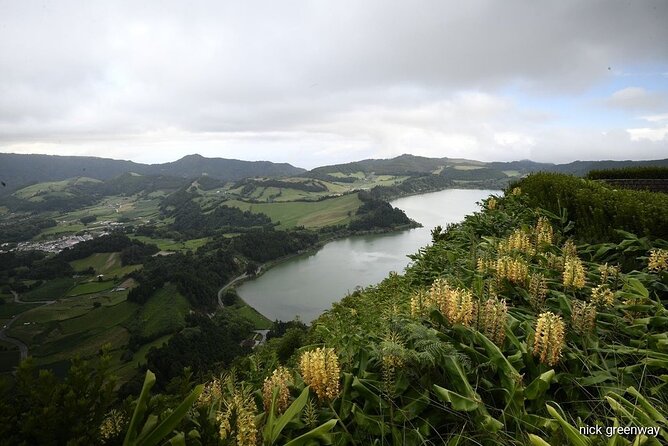 Private Full-Day 4x4 Tour to Furnas Volcano - Chá Gorreana: tea fields, factory, and a fresh cup
