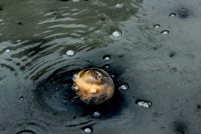 Private Full-Day 4x4 Tour to Furnas Volcano - Vila Franca do Campo islet: submarine eruption stories and a natural pool