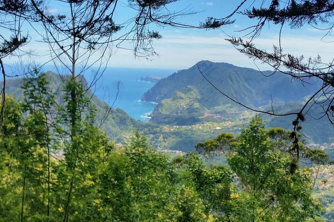 Private Full Day Off-Road Tour in Madeira - Porto Moniz Natural Swimming Pools: lunch, swim time, and volcanic rock