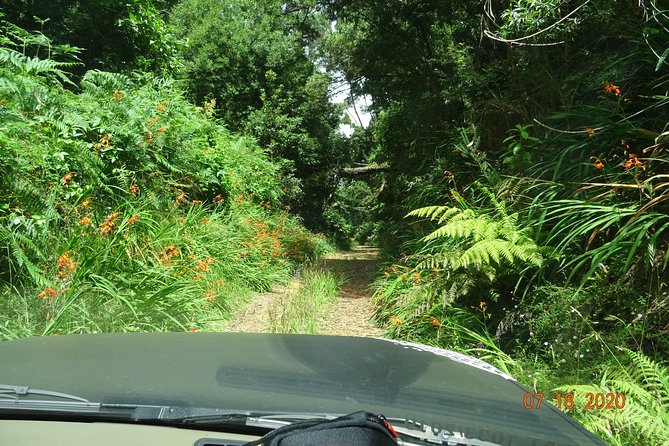 Private Full Day Off-Road Tour in Madeira - What is included, what is on you, and how to plan meals