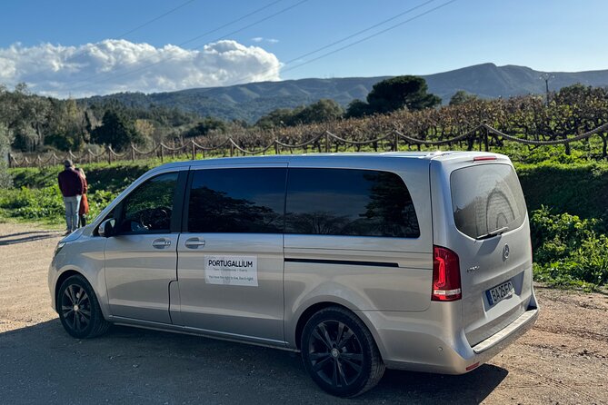 Private Full-Day Wine Tour from Lisbon with Tastings - Cristo Rei: the 15-minute view that ties Lisbon back in