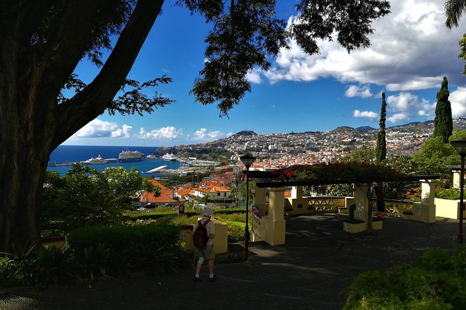 Private Funchal City Tour by Tukxi - Your 90-Minute Route: What You Will See and Why It Works