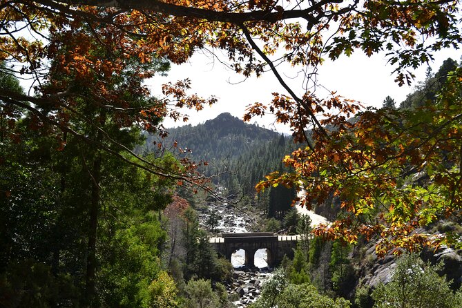 Private Geres National Park Tour with Lunch and Transfers - Lunch in Geres: picnic views versus a regional restaurant meal