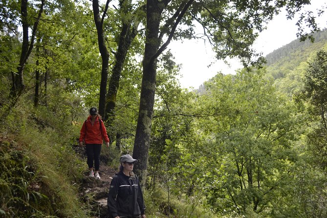 Private Geres National Park Tour with Lunch and Transfers - Weather reality: planning for rain without losing the day