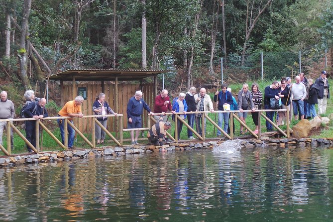 Private Half-Day 4X4 Experience: East or West - Miradouro da Boca dos Namorados and the Nun’s Valley area